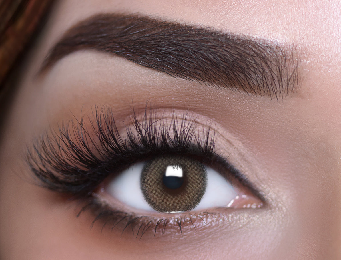 CONTOUR BROWN