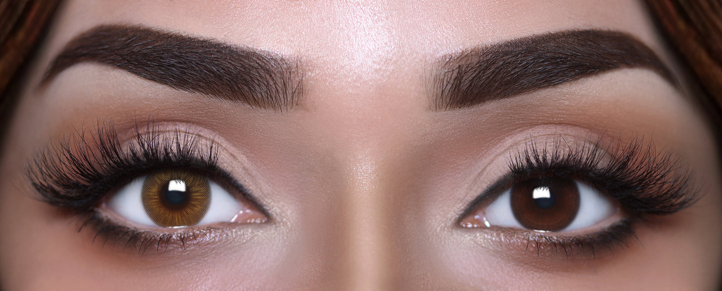 CONTOUR HONEY