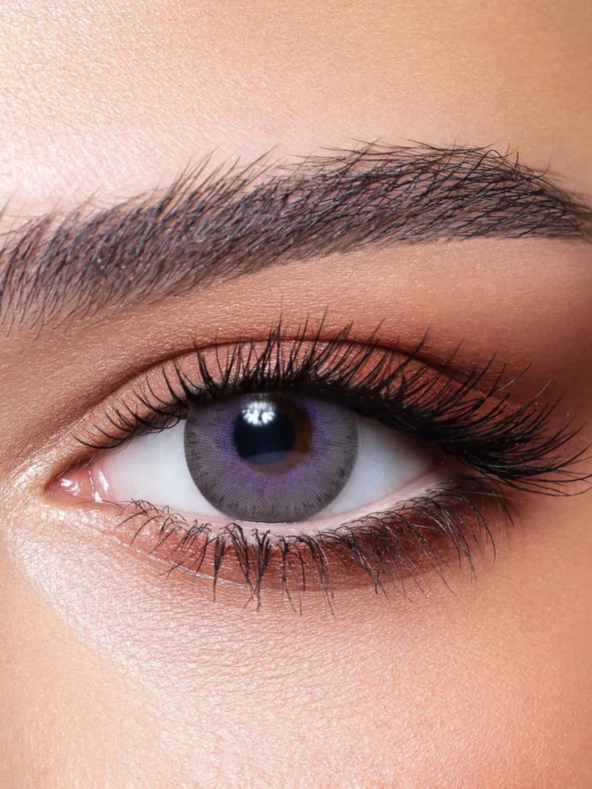 ELITE LAVENDER GRAY