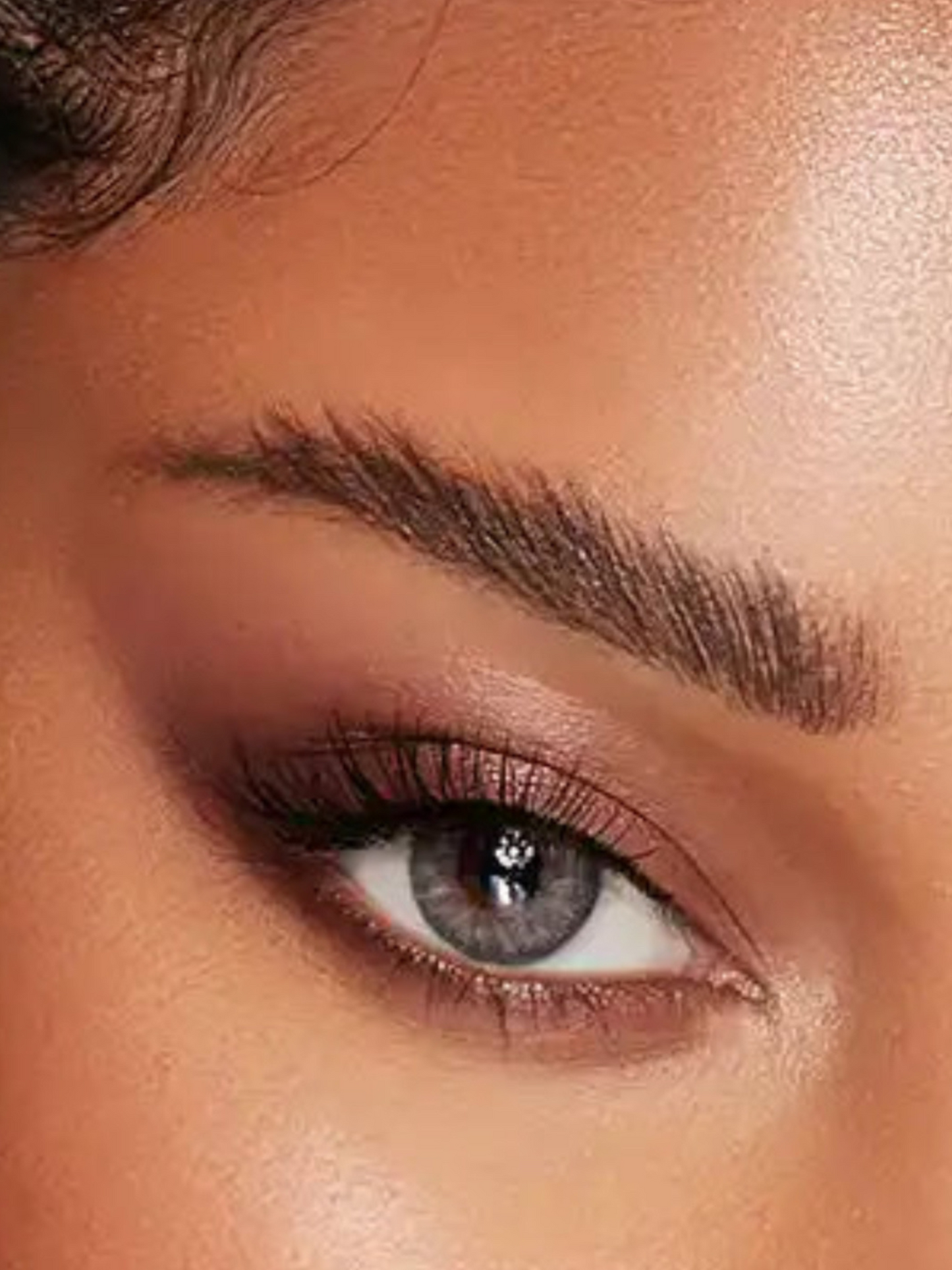 Bella One Day - Rosewood
