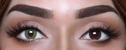 CONTOUR  GREEN